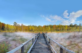 Heidenreichsteiner Moor - Prügelsteig, © Horst Dolak