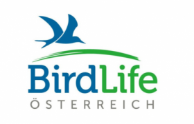 Birdlife, © Birdlife