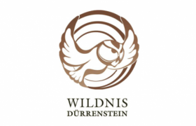 Wildnisgebiet Dürrenstein, © Wildnisgebiet Dürrenstein