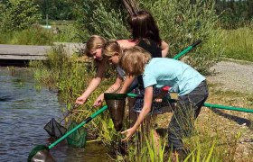 Junge Wasserforscher*innen im UnterWasserReich, © Hochmoor Schrems/W. Dolak