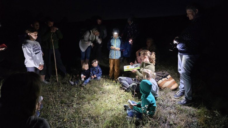 Insekten der Nacht im Naturpark Leiser Berge, © Naturpark Leiser Berge