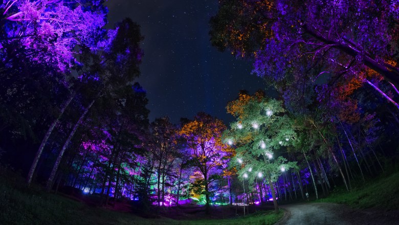 Blockheide leuchtet, © Andreas Biedermann