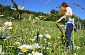 Stopp der Verwaldung, © Naturpark Ötscher-Tormäuer