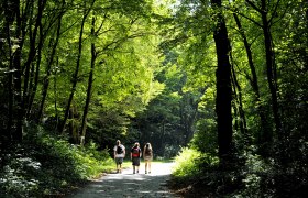 Forest trails at Mannersdorf Nature Park, © Naturparke Niederösterreich/POV