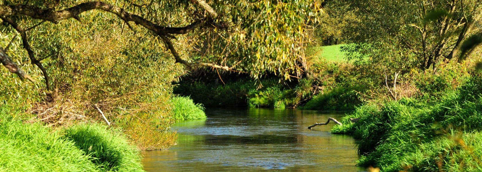 Thaya in Dobersberg, © Naturparke Niederösterreich/POV