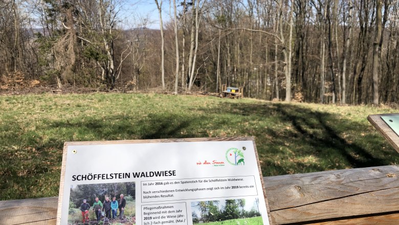 Purkersdorf - Schöffelsteinwiese, © Naturpark Purkersdorf