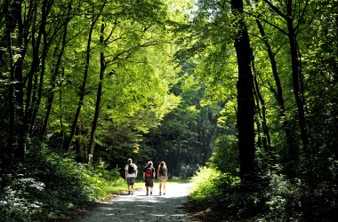 Forest trails at Mannersdorf Nature Park, &copy; Naturparke Nieder&ouml;sterreich/POV