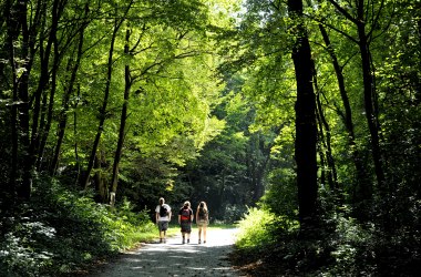 Forest trails at Mannersdorf Nature Park, © Naturparke Niederösterreich/POV